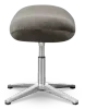 Flegg Ottoman / Hocker Elegant Silver Velvet