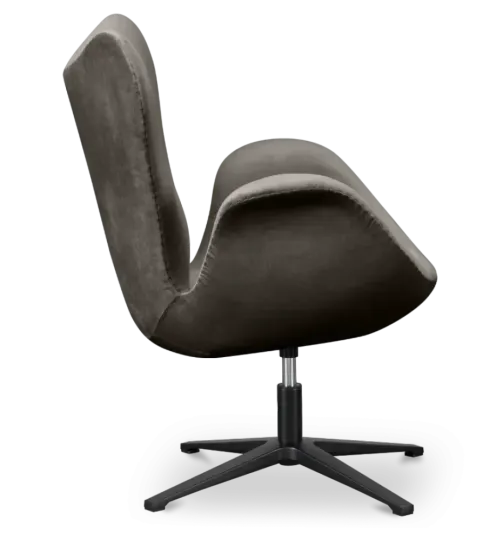 Sean Chair Zilver Grijs Velvet