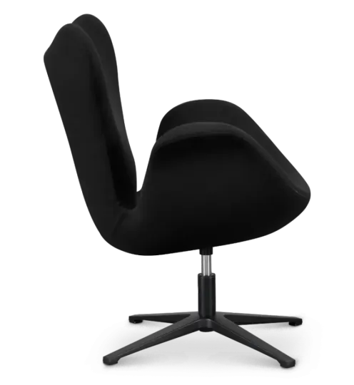 Sean Chair Zwart Kasjmier