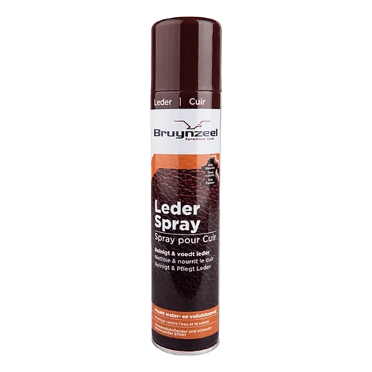 Bruynzeel Leder Spray 300ML