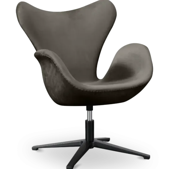 Sean Chair Zilver Grijs Velvet Sean Chair Zilver Grijs Velvet